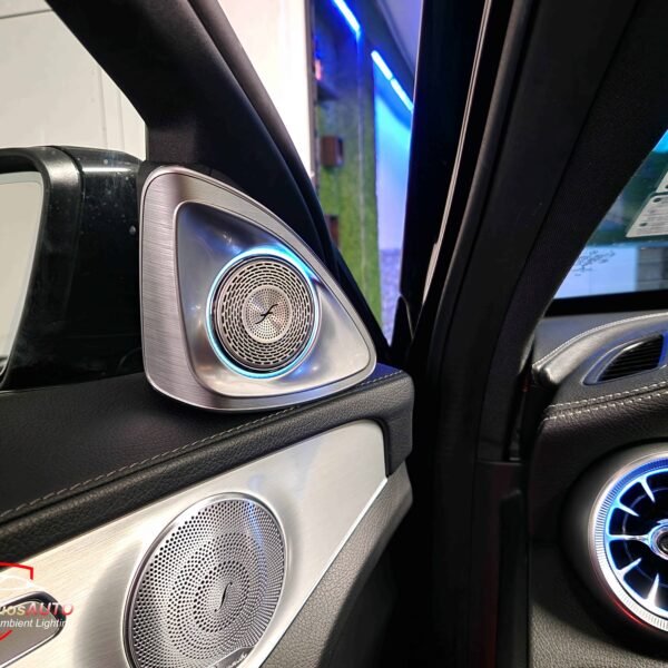 4D Burmester rotary speakers