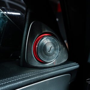 3D Burmester rotary говорители за E W213